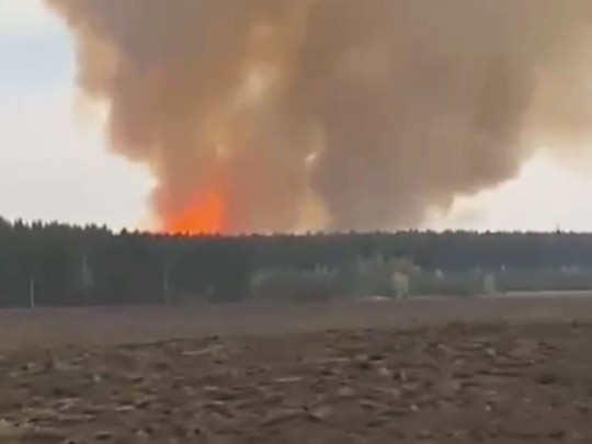 Пожар под Рязанью сняли с воздуха: впечатляющее видео