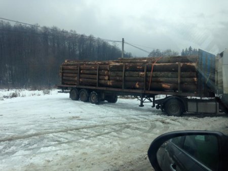 Зацените масштабы. В Воловце лес-кругляк "пакуют" и пилят необьятными масштабами