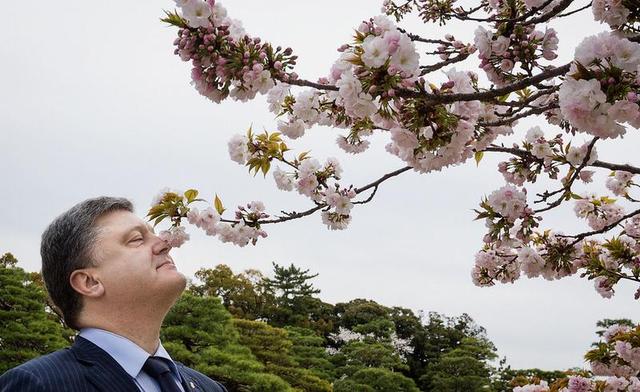 Фото Порошенко за 2016 год