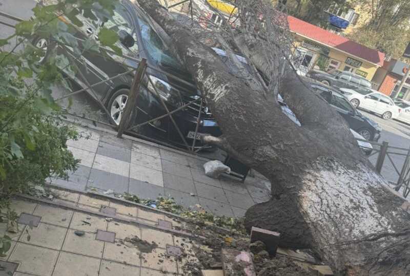 Ураганные порывы ветра обрушились на Дагестан: десятки тысяч людей остались без электричества