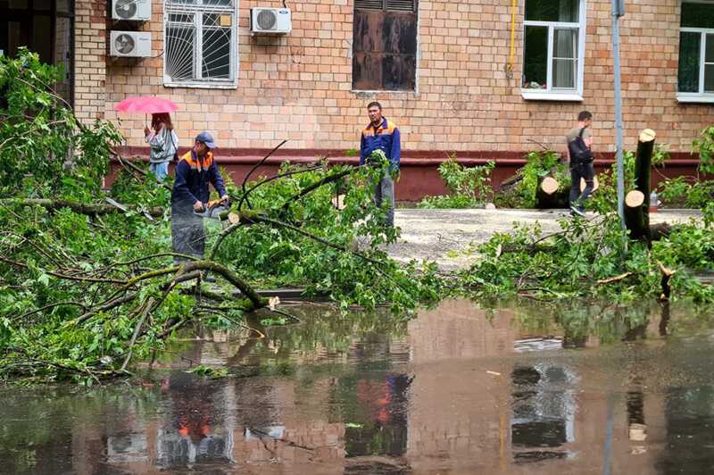 В сети появились фотографии последствий сильного урагана в Москве