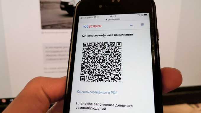 На юге России люди попадают в магазины и ТЦ по QR-кодам от утюгов и куриц