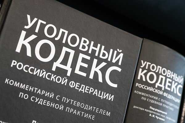 В Госдуме анонсировали разработку нового Уголовного кодекса